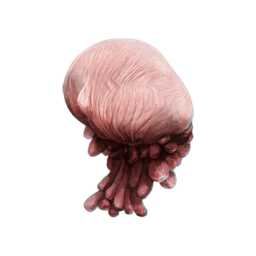Cuthol Tendrils