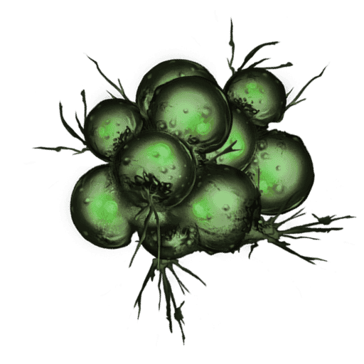 Cortichrome